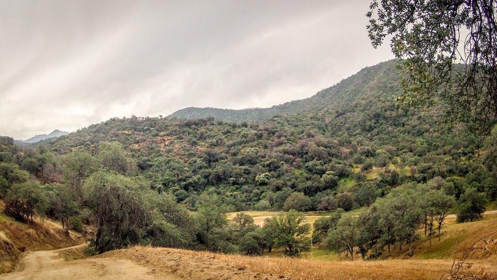 ת'רי ריברס Kaweah Chakra Resort מראה חיצוני תמונה